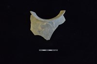 陶罐藏品圖，第2張